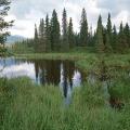 alaska_2000_0038