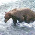 alaska_2000_0338