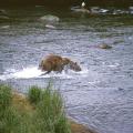 alaska_2000_0342