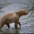 alaska_2000_0346