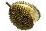 durian