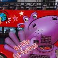 Hippo Bus Tours