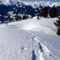 Gerlossteinwand (2166m) - Schneeschuhtour