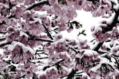 Wintereinbruch, Ostern 2012