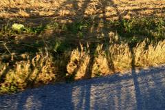 20130730 Radl Forstenried