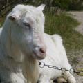 20140421_dxp_vlieland_0116