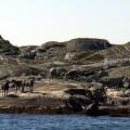 20140525_dxp_arendal_0058