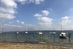 Fleur Petite - eingewintert