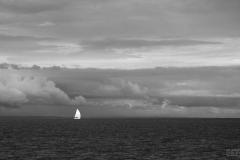 Fleur Rapide - Tour South 2019