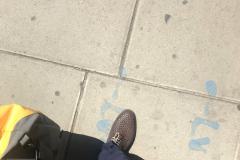 FleurVitesse - Plymouth