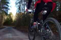 Herbst in München Forstenried (Nov 2008)