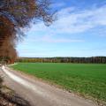 081109_herbst_018.jpg