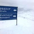 20180303_Japan_Ski