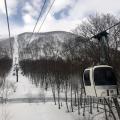 20180303_Japan_Ski