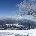 20180303_Japan_Ski