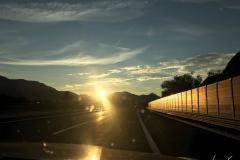 Jolie Fleur einwintern