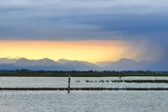 JolieFleur_Lignano_202105