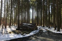 M - Sonthofen Mopedtour