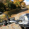 20211023_moped_herbstausflug_gut_0034