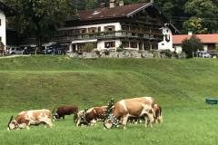 Motorrad Dolo 04102019