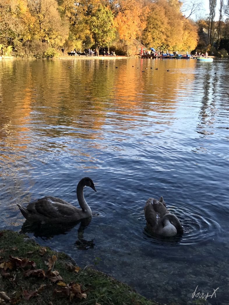 20211031_sonntagsspaziergang_web_0116