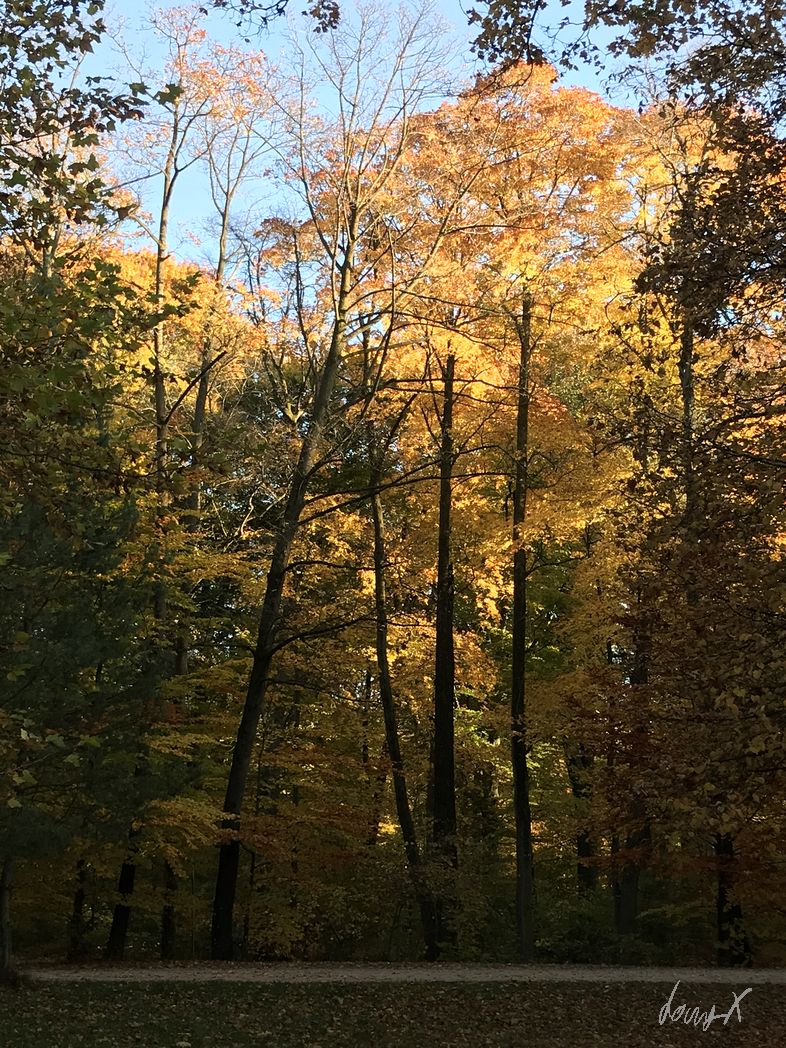 20211031_sonntagsspaziergang_web_0128