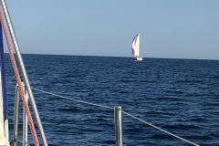 Nettuno - Porto di Roma