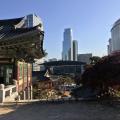 Seoul 11.2019