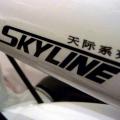 SkylinePro
