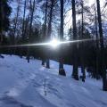 Skitour Valser Tal 2020.02
